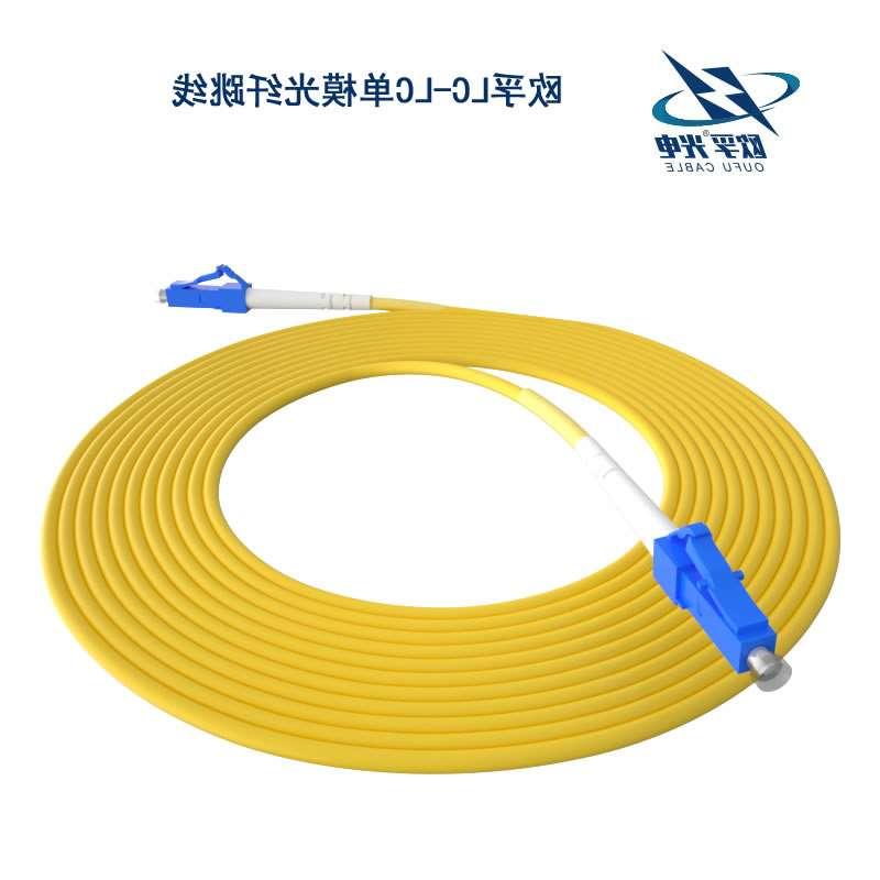 中西区LC/PC光纤跳线